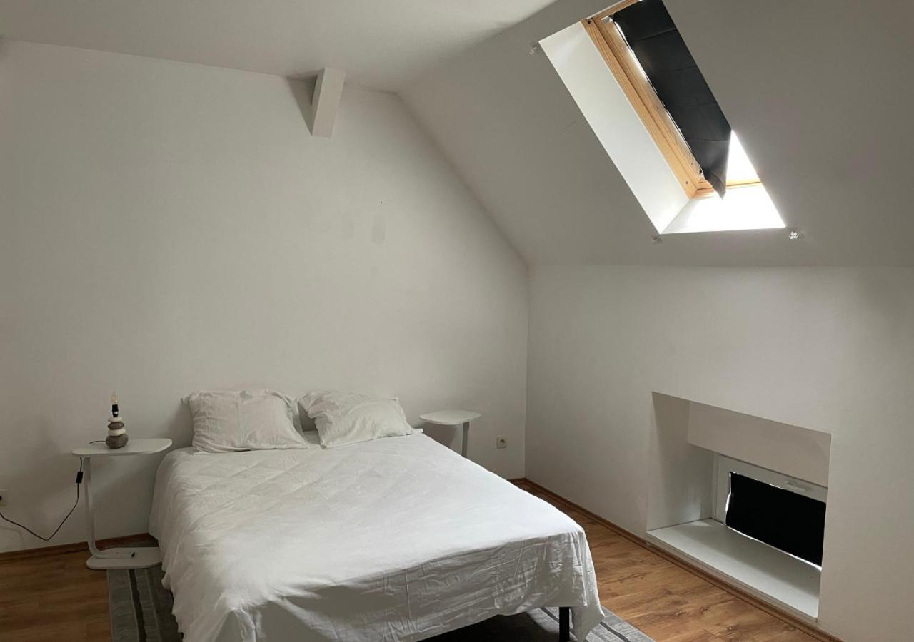 Le Wolf - 1 Chambre Dans Un T3 - 5Mn Tram Du Centre Ville - 15Mn Tram Gare Tgv Mulhouse - Wifi - Parking Luaran gambar